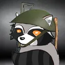 thecrazyraccoon