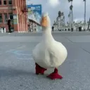 homem_pato