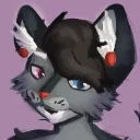 dizziderp