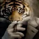 .meltyy
