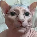 kiryhasamosval1488 avatar