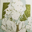 avatar ❀ Flower ❆