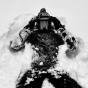 avatar ❀ Flower ❆