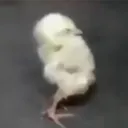 eatbabiees