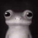 lel64