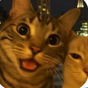 avatar 𝖕𝖔𝖔𝖆𝖍