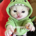 avatar ℜ𝔲𝔞𝔥