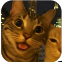 avatar 𝖕𝖔𝖔𝖆𝖍