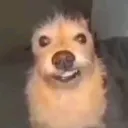 duarte_vski