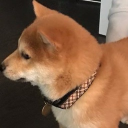 avatar ✩𝓴𝓪𝓴𝓸𝓪✩