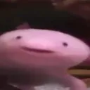 rokilotl