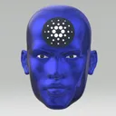 cnft_heads