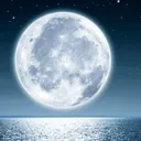 moonrobo5554