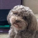 melvinnoob