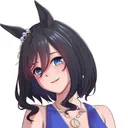 thereal_eishinflash