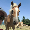 avatar MissKarma / Gina