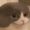 avatar Timmi aus der Nachbarschaft