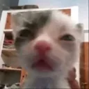 Аватар cheezit6382