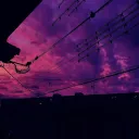 _mikeell