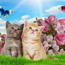 avatar those who know 💀