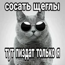 57823823