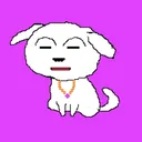saitamadog_club1516
