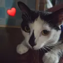 ppeethanakit