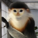 avatar hnhnhnhnhnhnhnhnhnhnhnhnhnhnhnhn