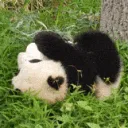 pandathejod