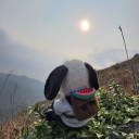 luffy_rob