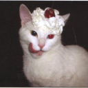 avatar simaalalalaala 🦭