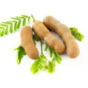 sampalok7326