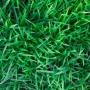 Аватар iqadbapi