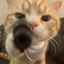 avatar */ ꜱᴇʟʟ ꜰɪʟᴇ ᴡᴇʙ ꜱʜᴏᴘ ᴅᴍ!