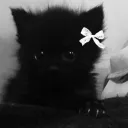 Аватар .onyxxxx