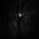 View _lmidnightl_'s Profile