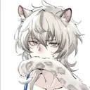 Silas The Snow Leopard