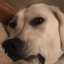 nixistxr