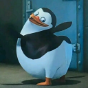 avatar marv