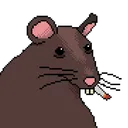 rogue_rat_