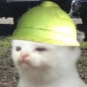 xandermilantomic avatar