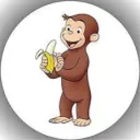 cocoderaffe6865