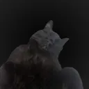 hooopert