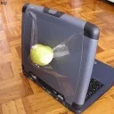 developerblity