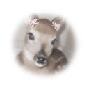 avatar 𖧧̣̥  𓈒 ݂۫ ׄ    ꒰ྀི   ᥎͟ 𝑖 𐐷