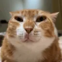 Аватар eto_nev1x