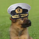 ltcol123456