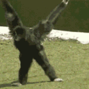 gibbons___