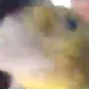 biiiirb