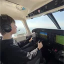 avian811